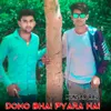 About Dono Bhai Pyara Hai Song